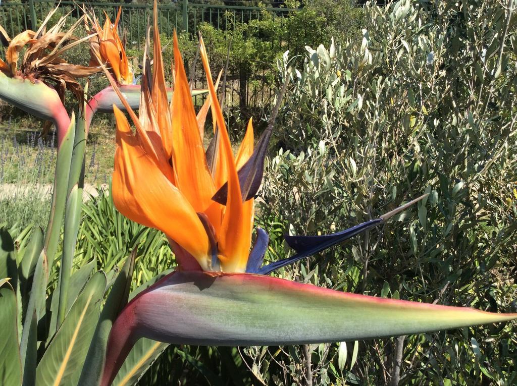 La Cabriere Country House Franschhoek Bagian luar foto